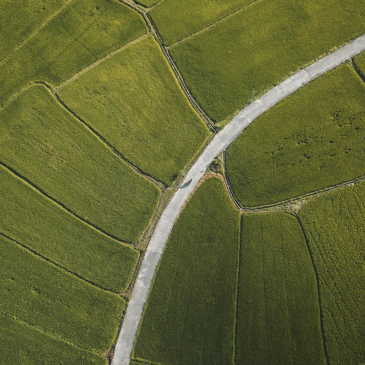 Landscape rhythm reference