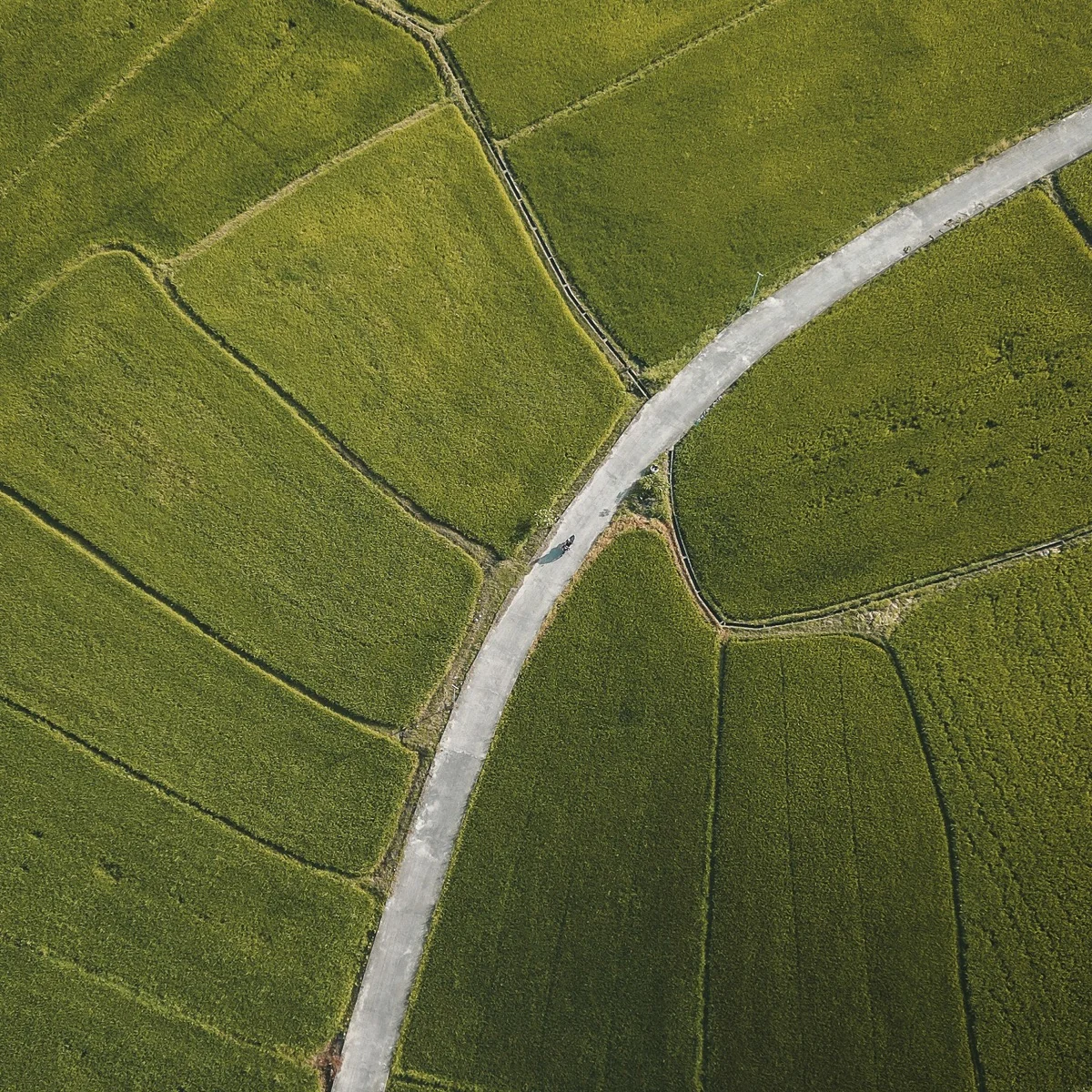 Landscape rhythm reference